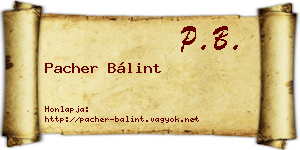 Pacher Bálint névjegykártya